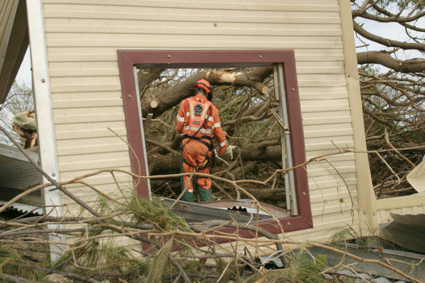 Leaf Removal in Gilberts, IL